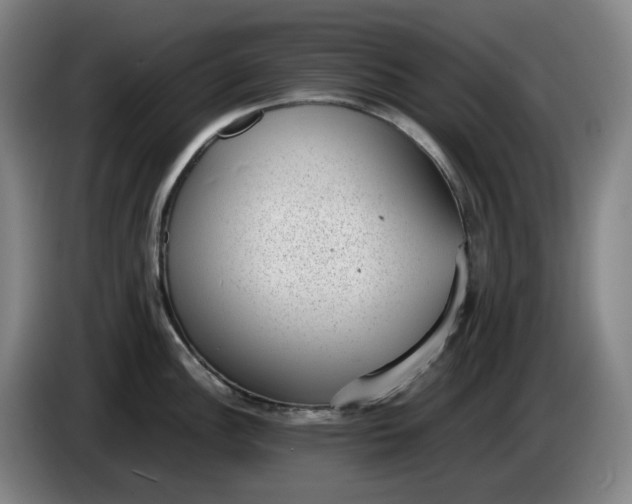 X0000085781148200703301420