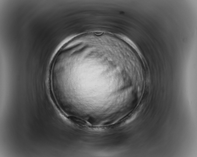 X0000085781149200703301420