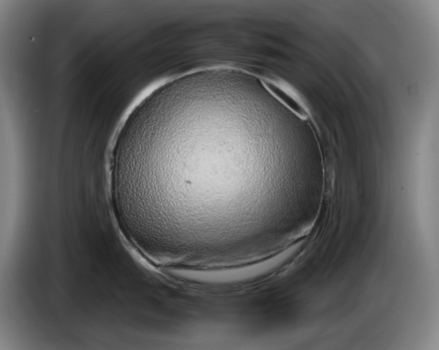 X0000085781151200703301420