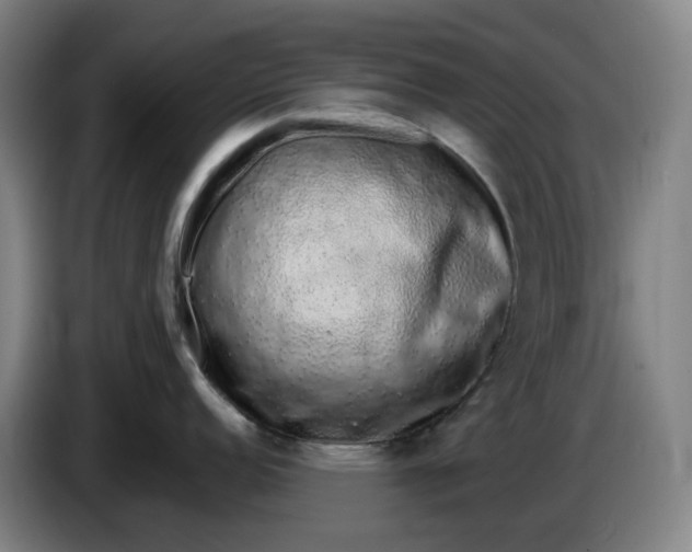 X0000085781152200703301420