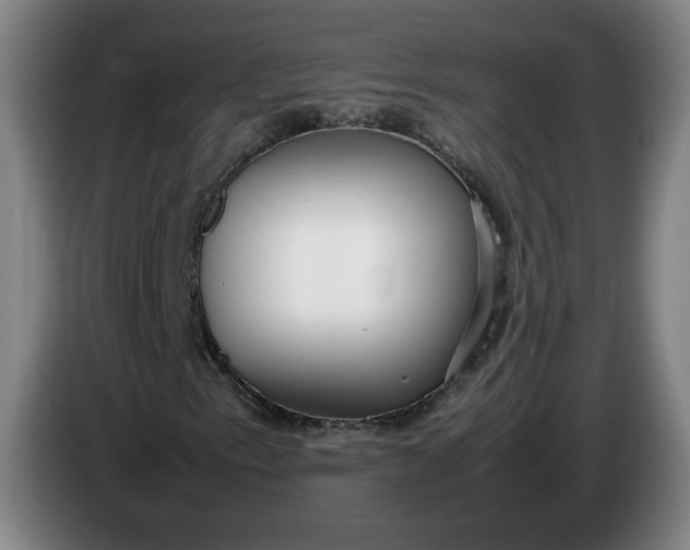 X0000085781153200703301419