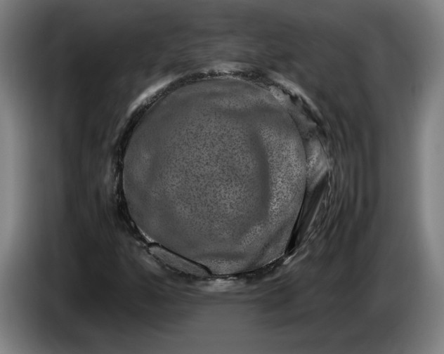 X0000085781160200703301419