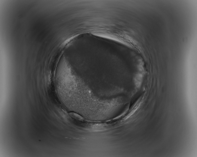 X0000085781161200703301419