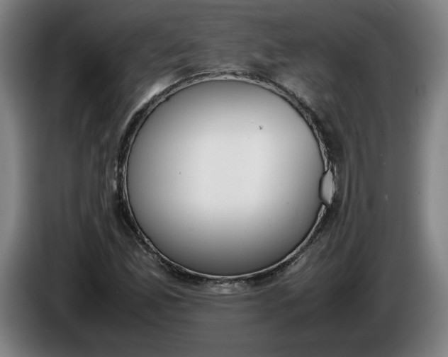 X0000085781165200703301419