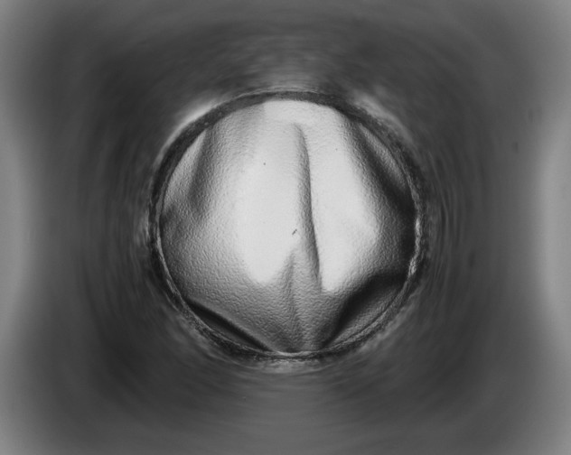 X0000085781166200703301419