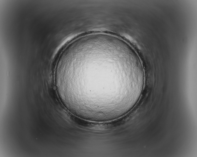 X0000085781167200703301419