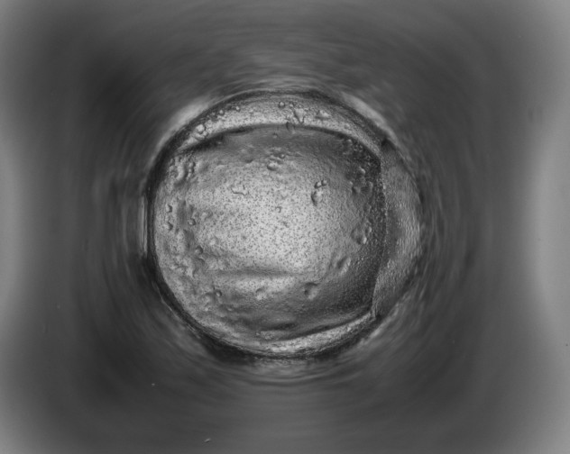 X0000085781171200703301419