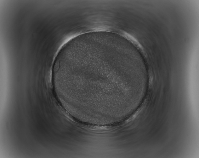 X0000085781174200703301419