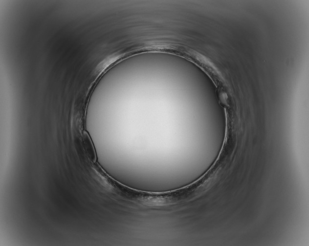 X0000085781177200703301419