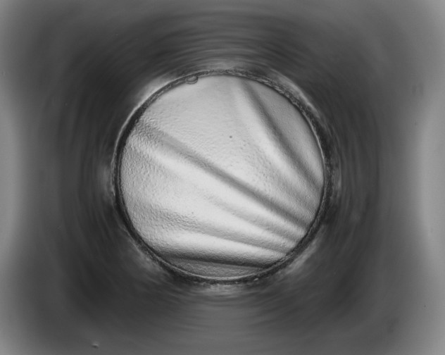 X0000085781178200703301419