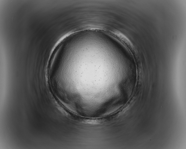 X0000085781182200703301419