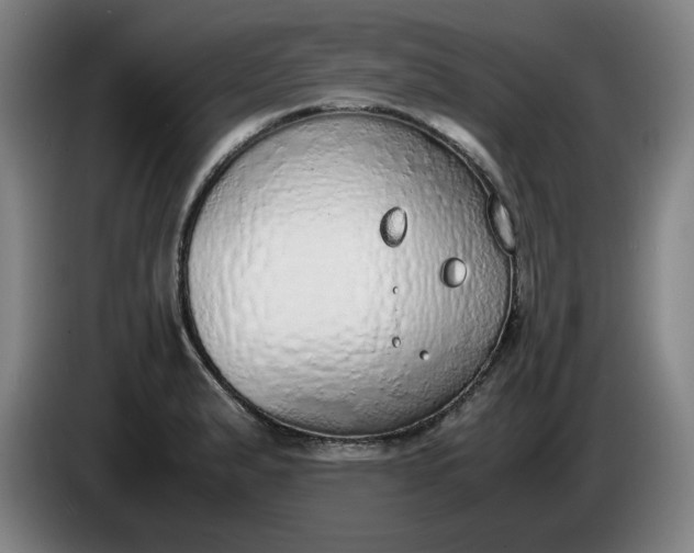 X0000085781183200703301418