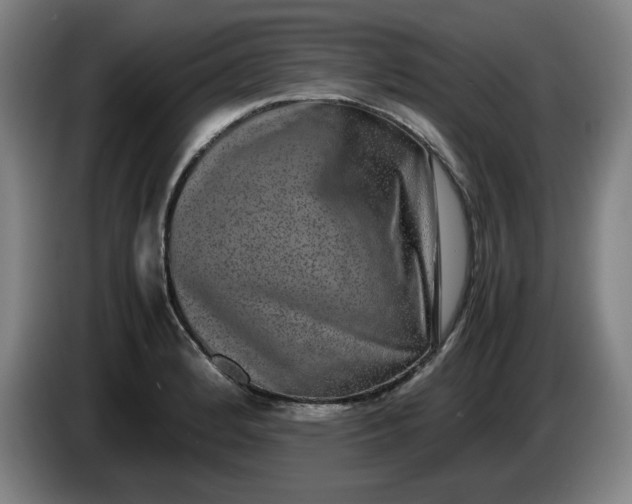 X0000085781184200703301418