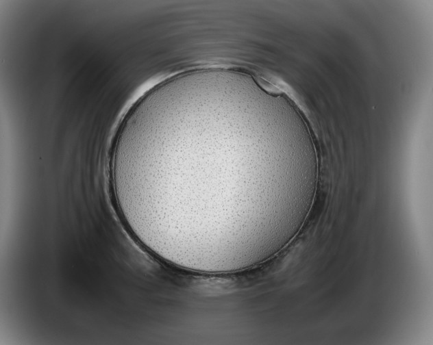 X0000085781187200703301418