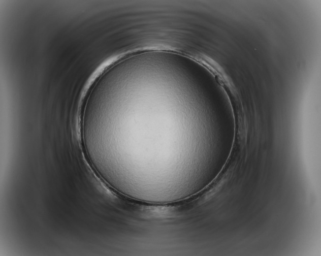 X0000085781188200703301418