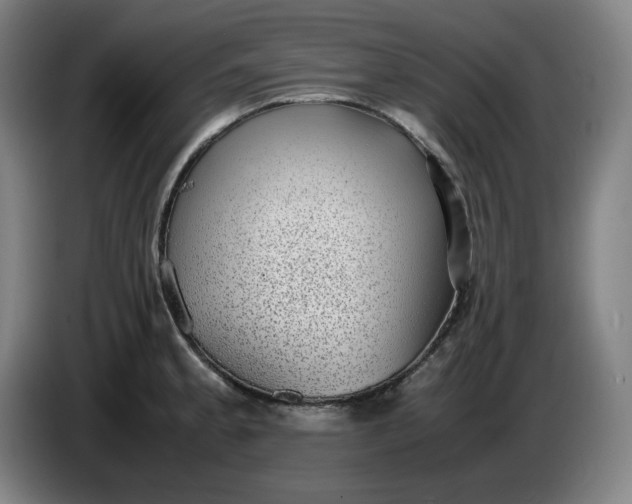 X0000085781189200703301418