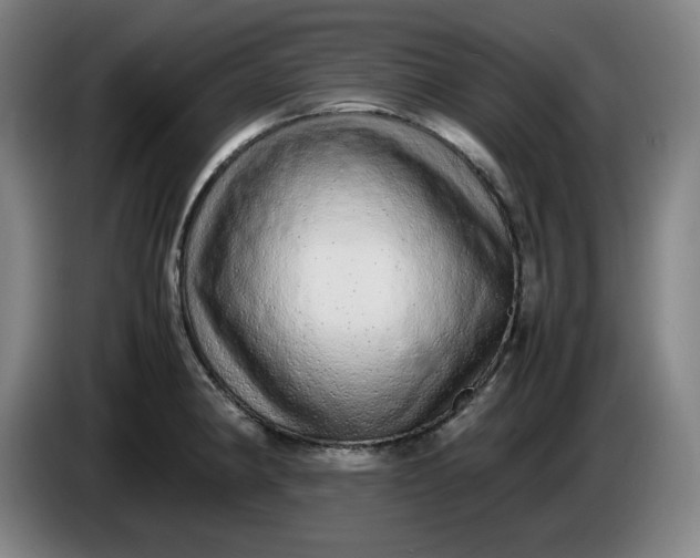 X0000085781190200703301418