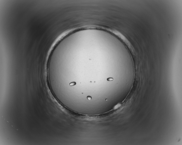 X0000085781191200703301418