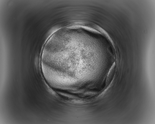 X0000085781194200703301418