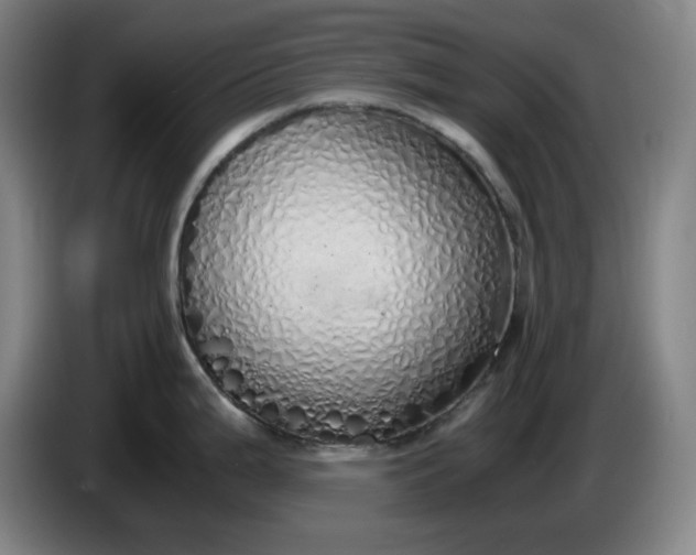 X0000085781199200703301418