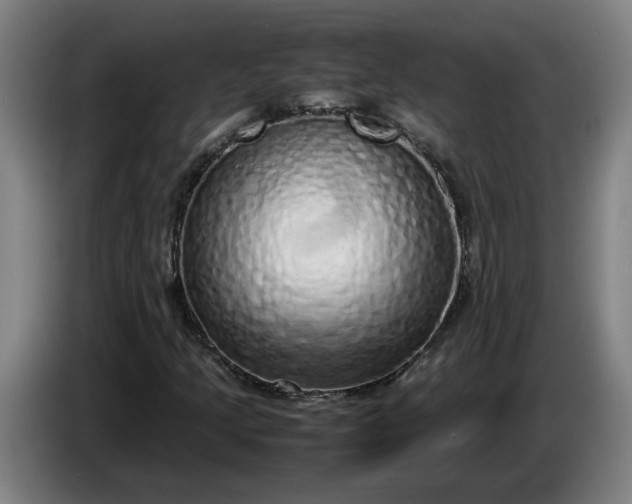 X0000085781205200703301418