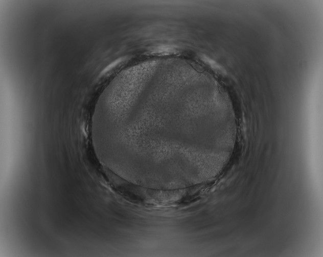 X0000085781206200703301418