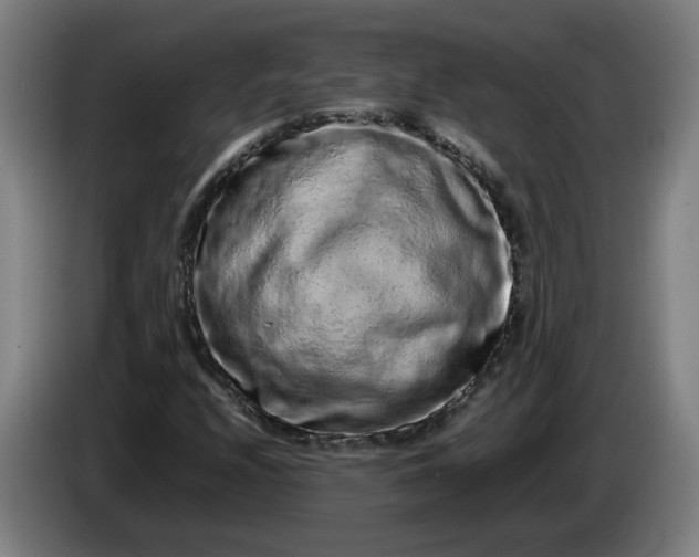 X0000085781208200703301418