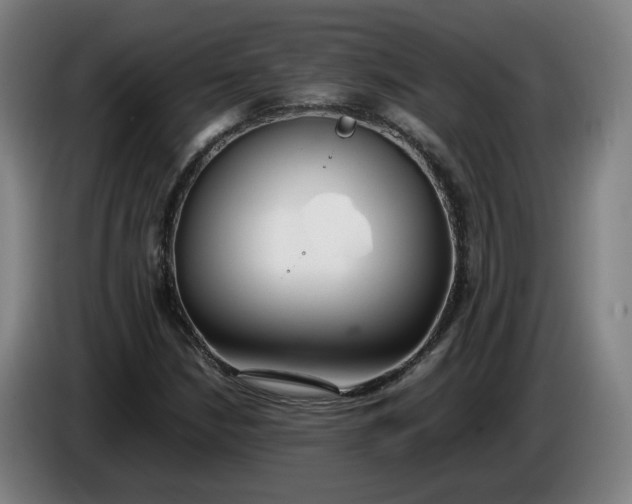 X0000085781210200703301418