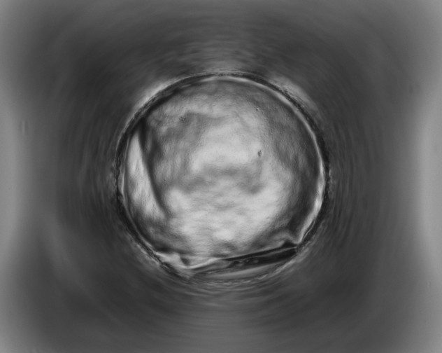 X0000085781212200703301418