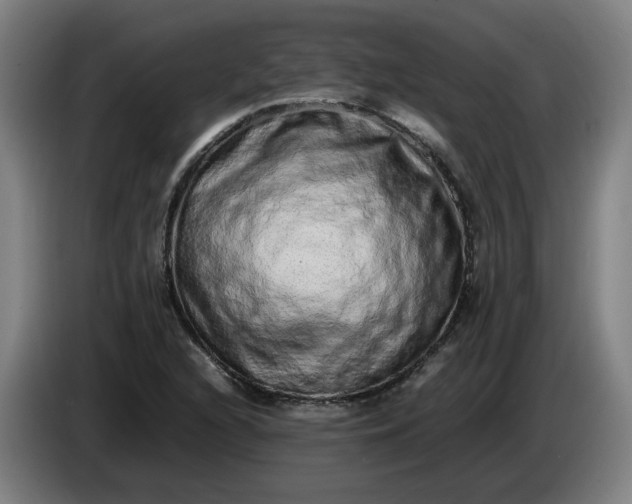 X0000085781216200703301418