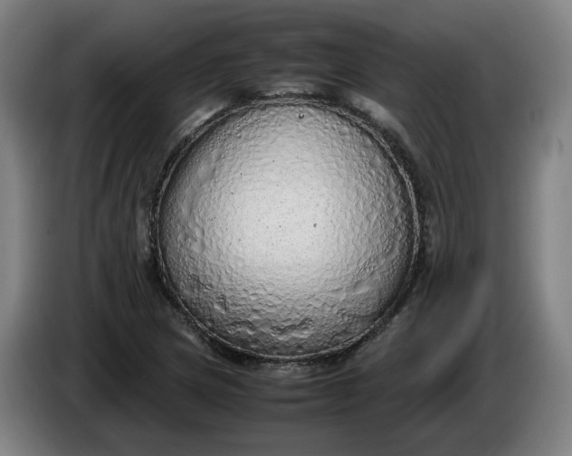 X0000085781217200703301418