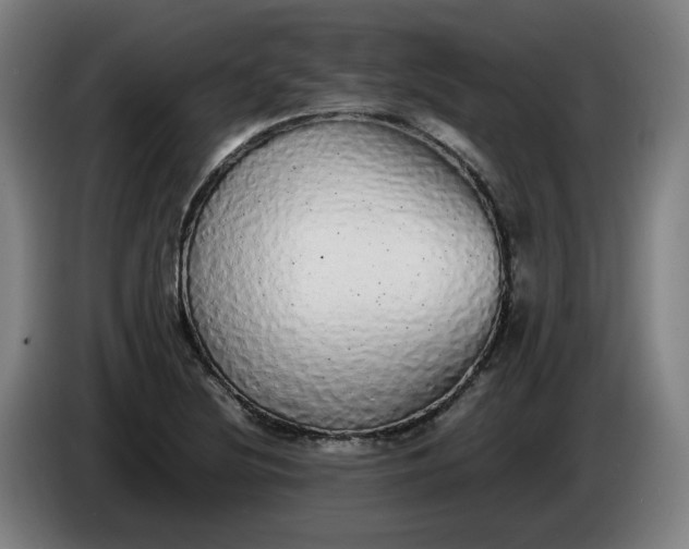 X0000085781220200703301418