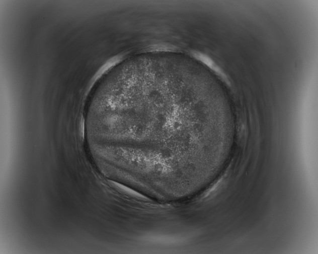 X0000085781221200703301418