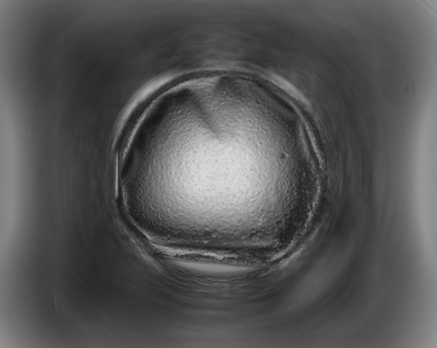 X0000085781223200703301418