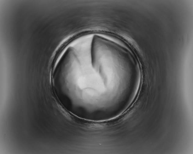 X0000085781224200703301418