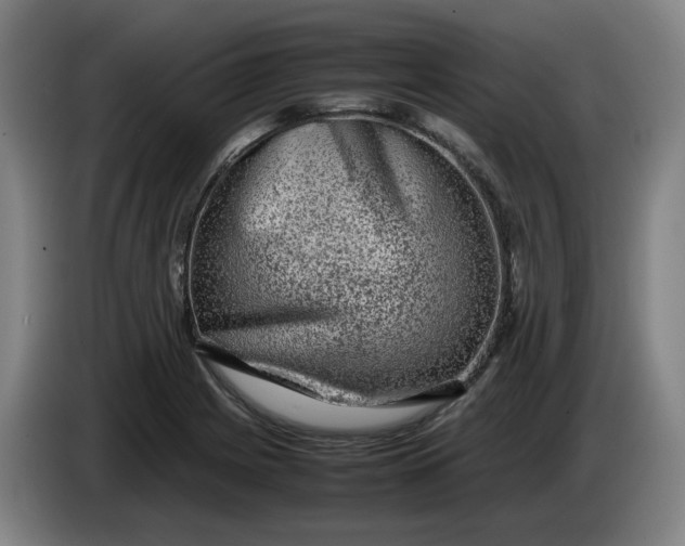 X0000085781225200703301418