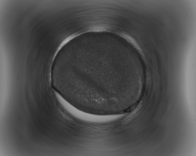 X0000085781226200703301418