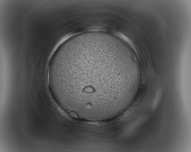 X0000085781227200703301418