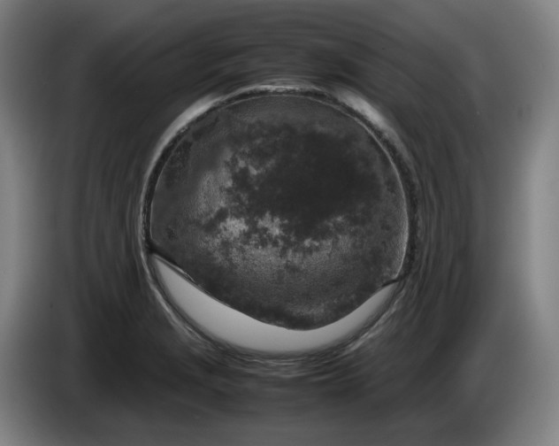 X0000085781229200703301418