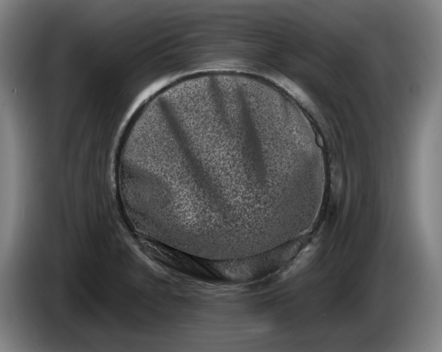 X0000085781230200703301418