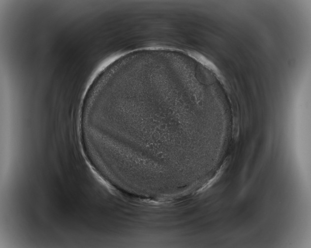 X0000085781231200703301418