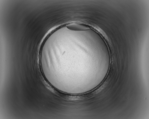 X0000085781232200703301418