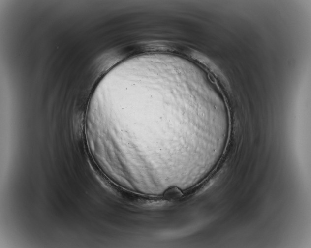 X0000085781233200703301418