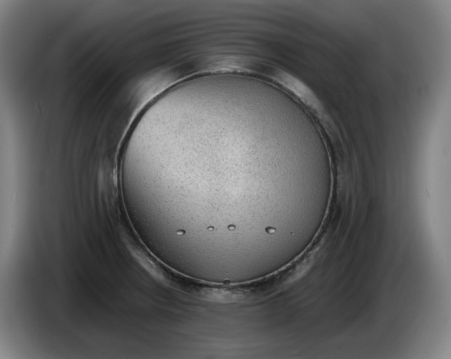 X0000085781234200703301418