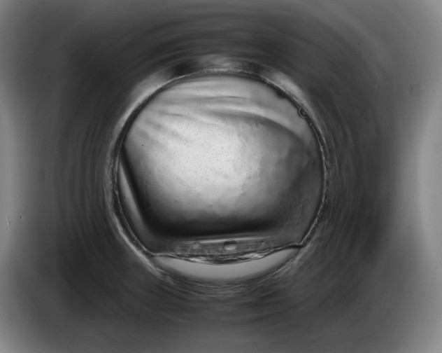 X0000085781235200703301418