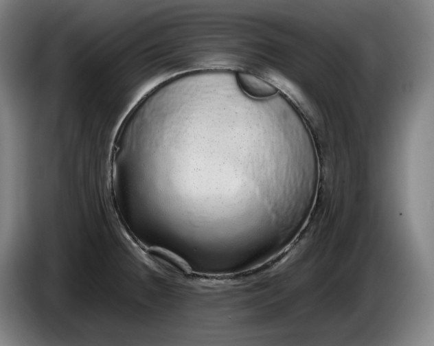 X0000085781236200703301418