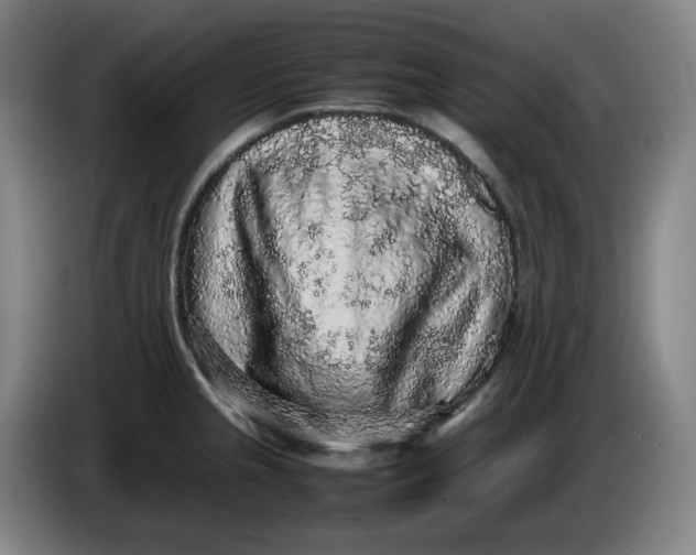 X0000085781237200703301418