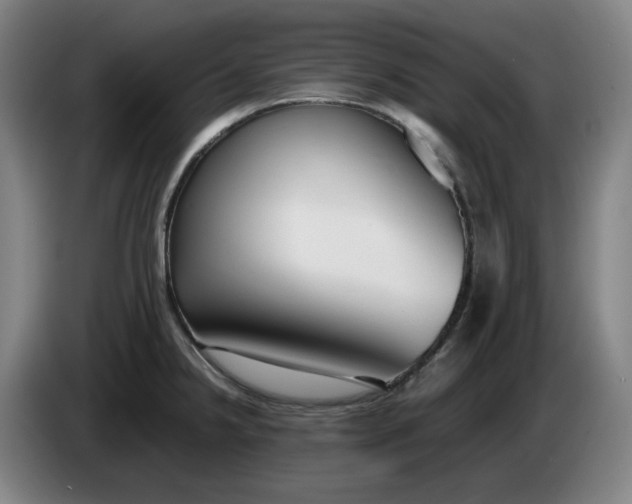 X0000085781238200703301418