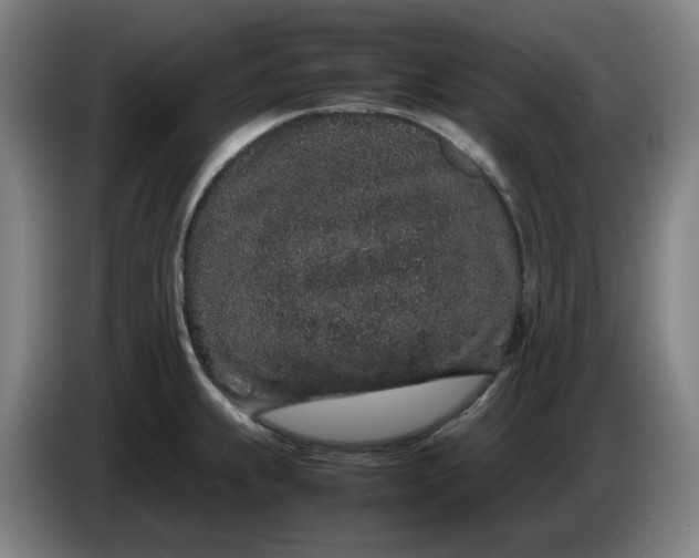 X0000085781239200703301418