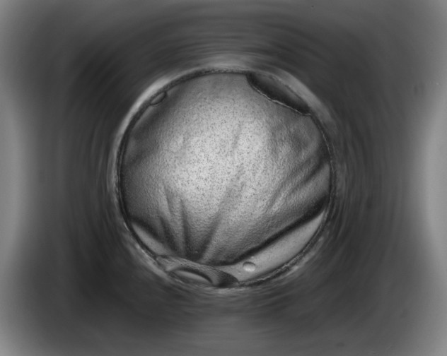 X0000085781240200703301418